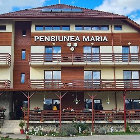 Pensiunea Maria Gilau Exterior photo