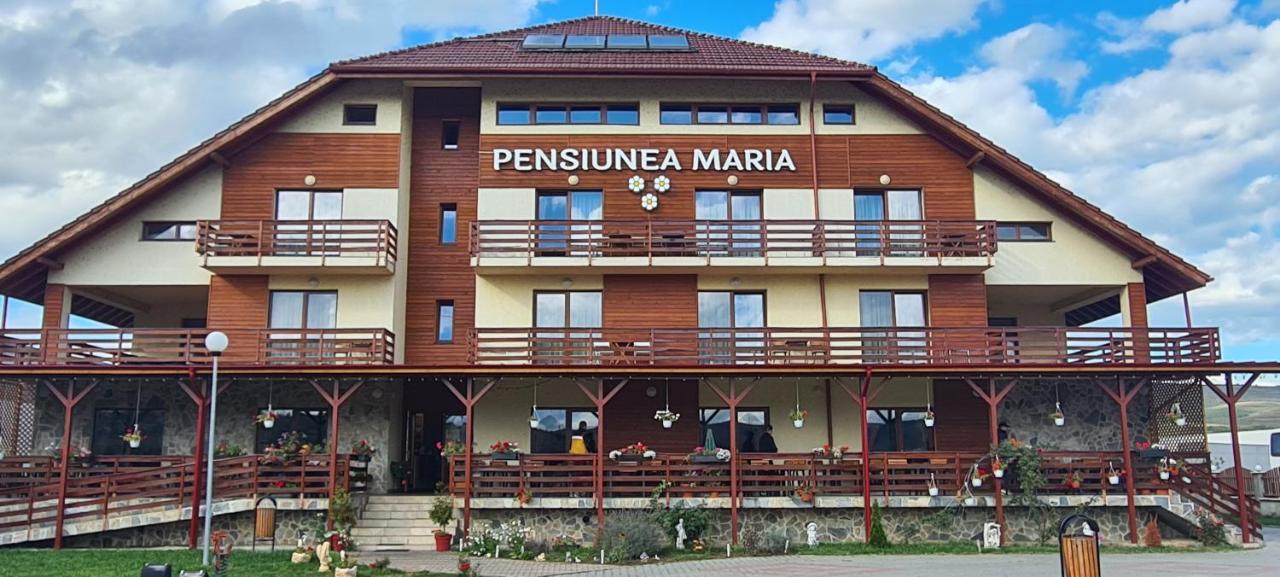 Pensiunea Maria Gilau Exterior photo